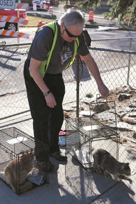 Humane society volunteer releasing neutered cat