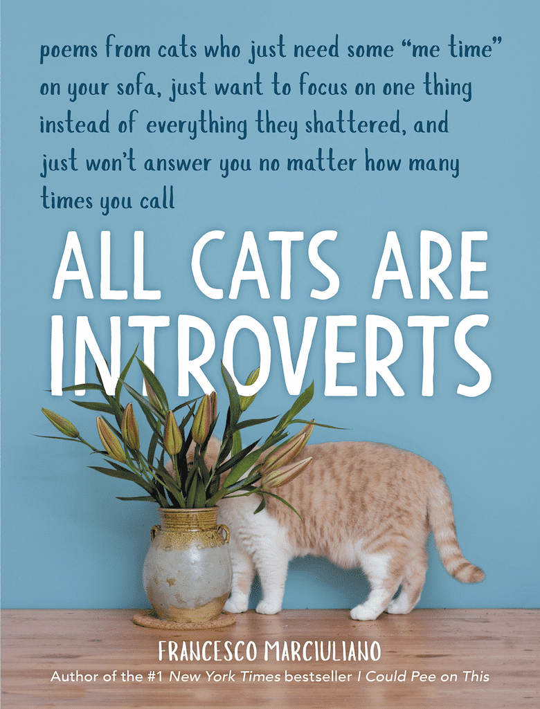Add These Cat Books to Your Reading List - Catster