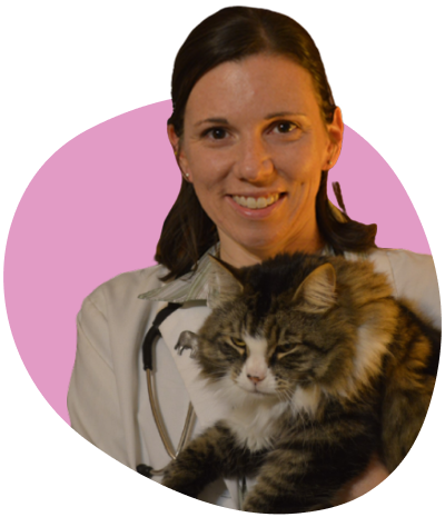 Dr. Chyrle Bonk DVM