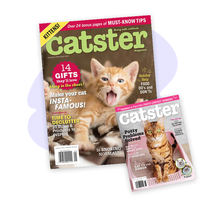 Catster magazine covers