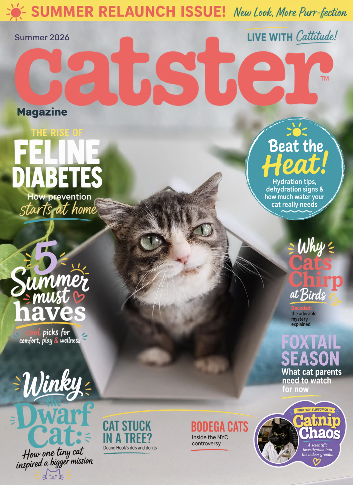 Catster Magazine Cover June 2026