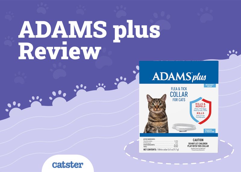 ADAMS plus Review
