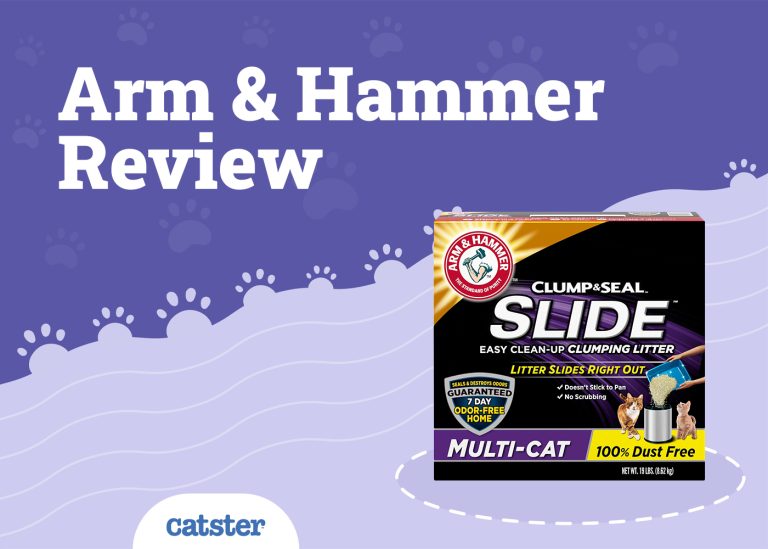 Arm and Hammer Cat Litter Review of 2024 Recalls, Pros & Cons Catster