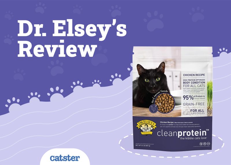 Dr Elsey's Cat Food Review