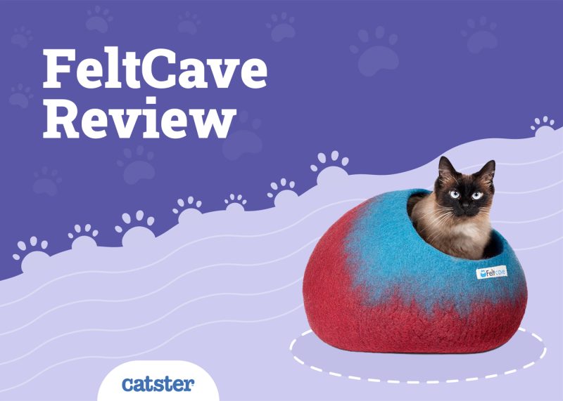 FeltCave Cat Bed Review