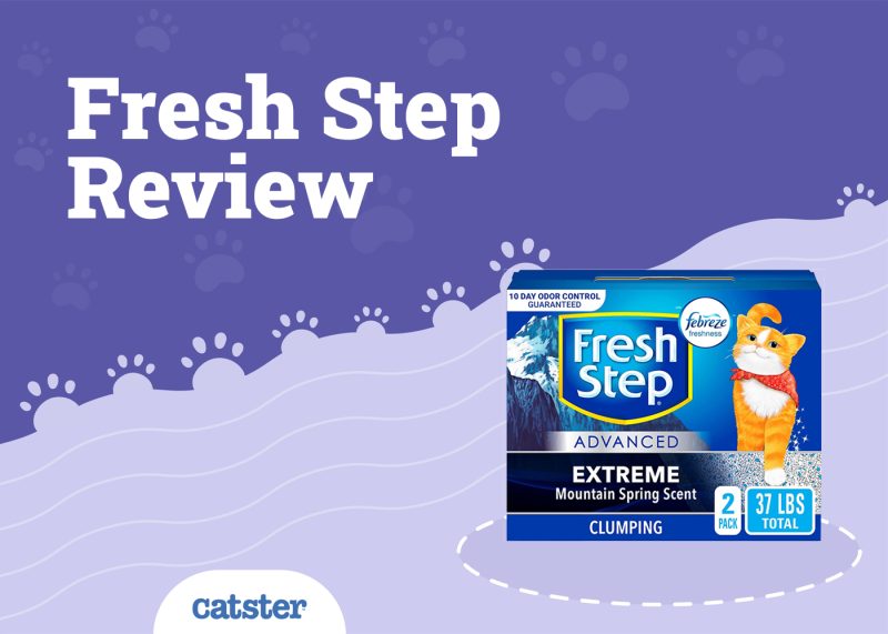 Fresh Step Cat Litter Review