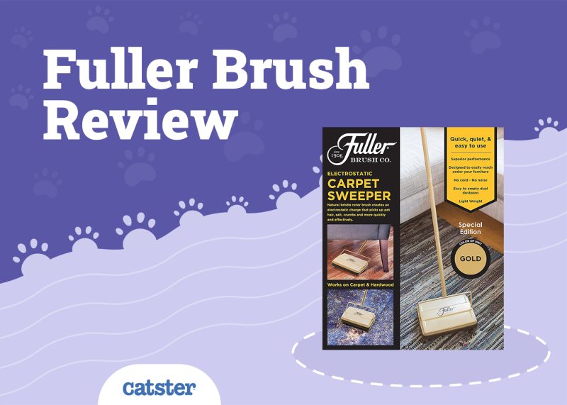Fuller Brush Review