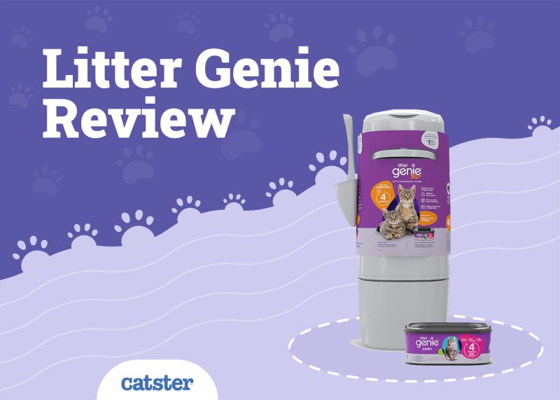 Litter Genie Cat Litter Disposal System Review