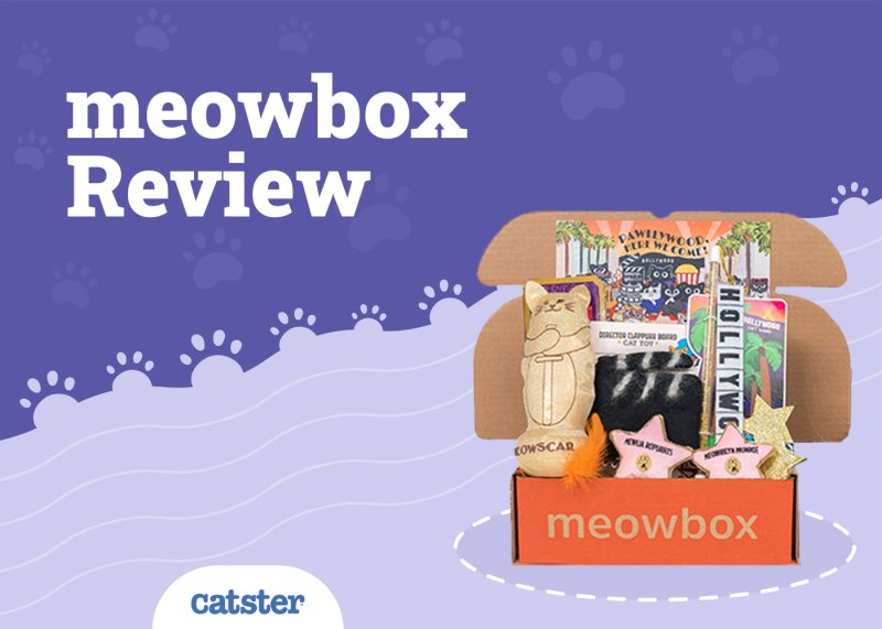 Meowbox Review