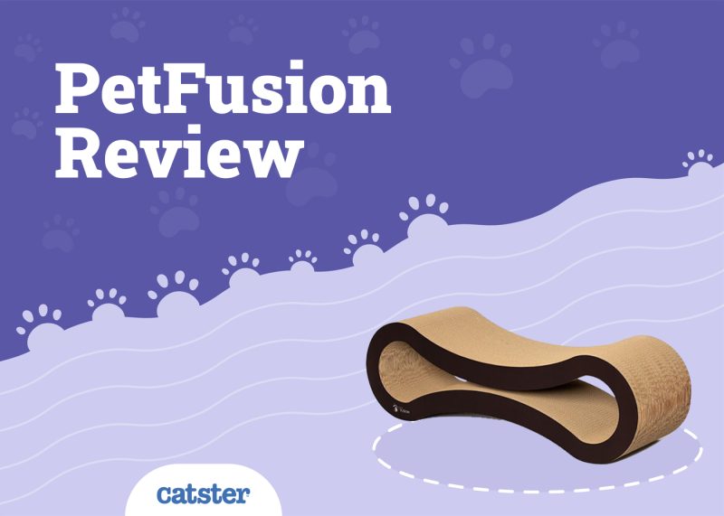 PetFusion Ultimate Cat Scratcher Review