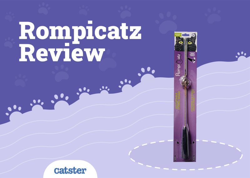 Rompicatz Adjustable String Wand Toy Review