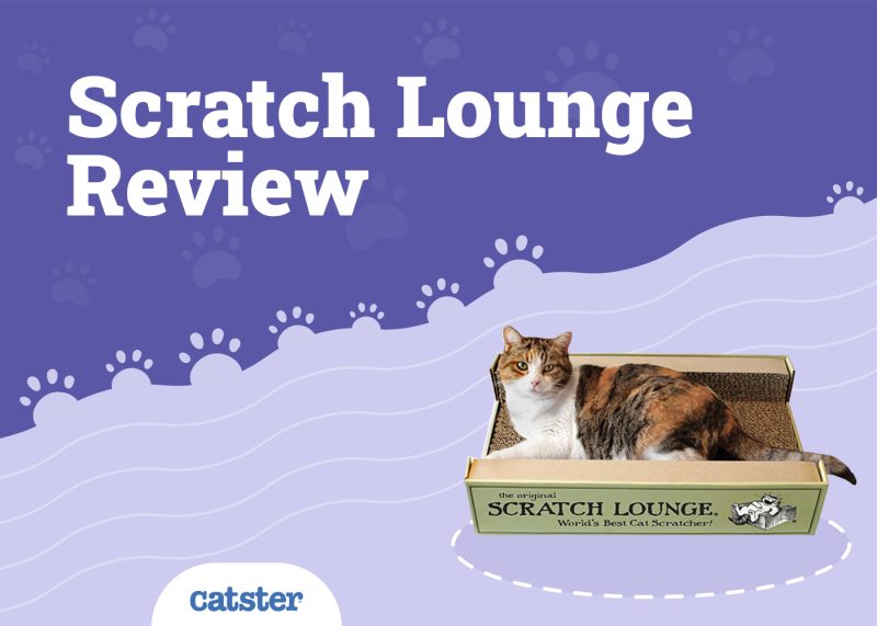 Scratch Lounge Review