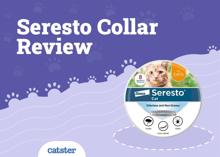 Seresto Flea & Tick Cat Collar Review in 2024 Pros & Cons Catster