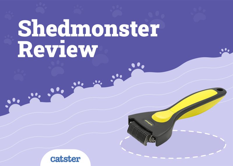 Shedmonster Cat De-Shedding Tool Review