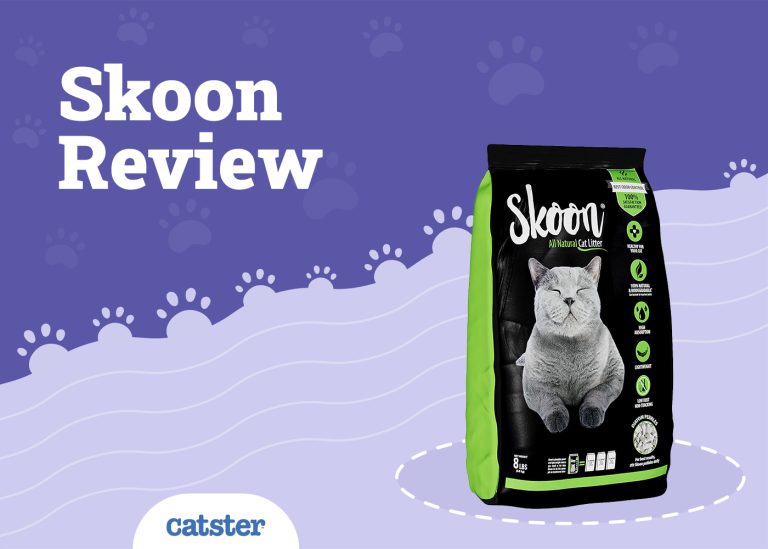 Skoon Cat Litter Review 2024 Recalls, Pros & Cons Catster