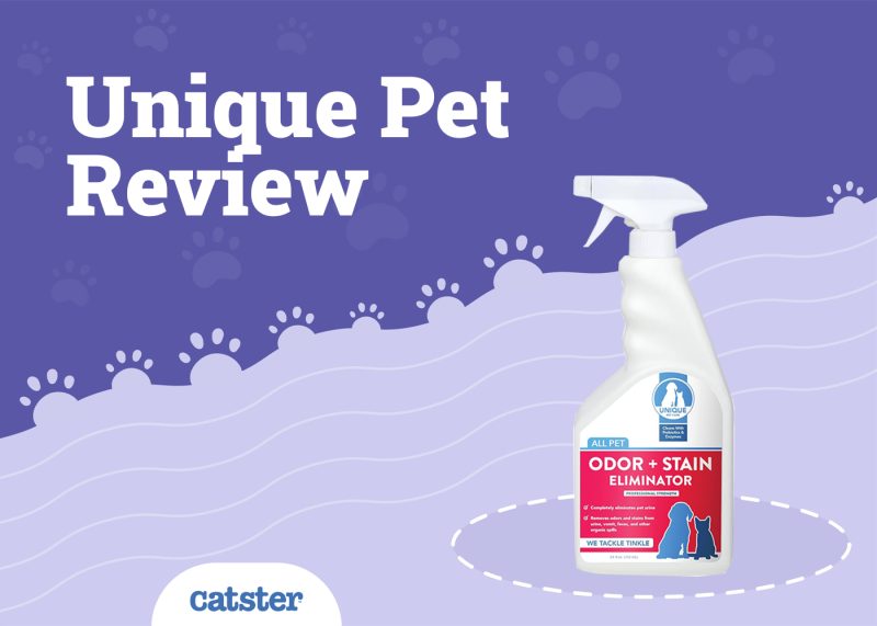 Unique Carpet Shampoo Review