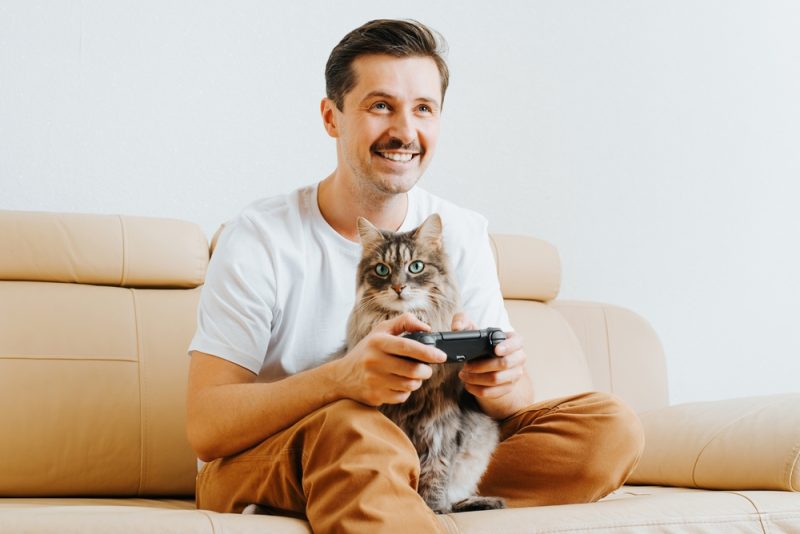 male gamer player holding wireless gamepad controller playing video game while sitting with cat at home on sofa