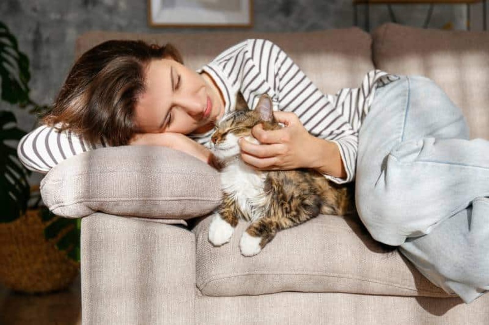 young-woman-holding-cute-siberian-cat-with-green-eyes