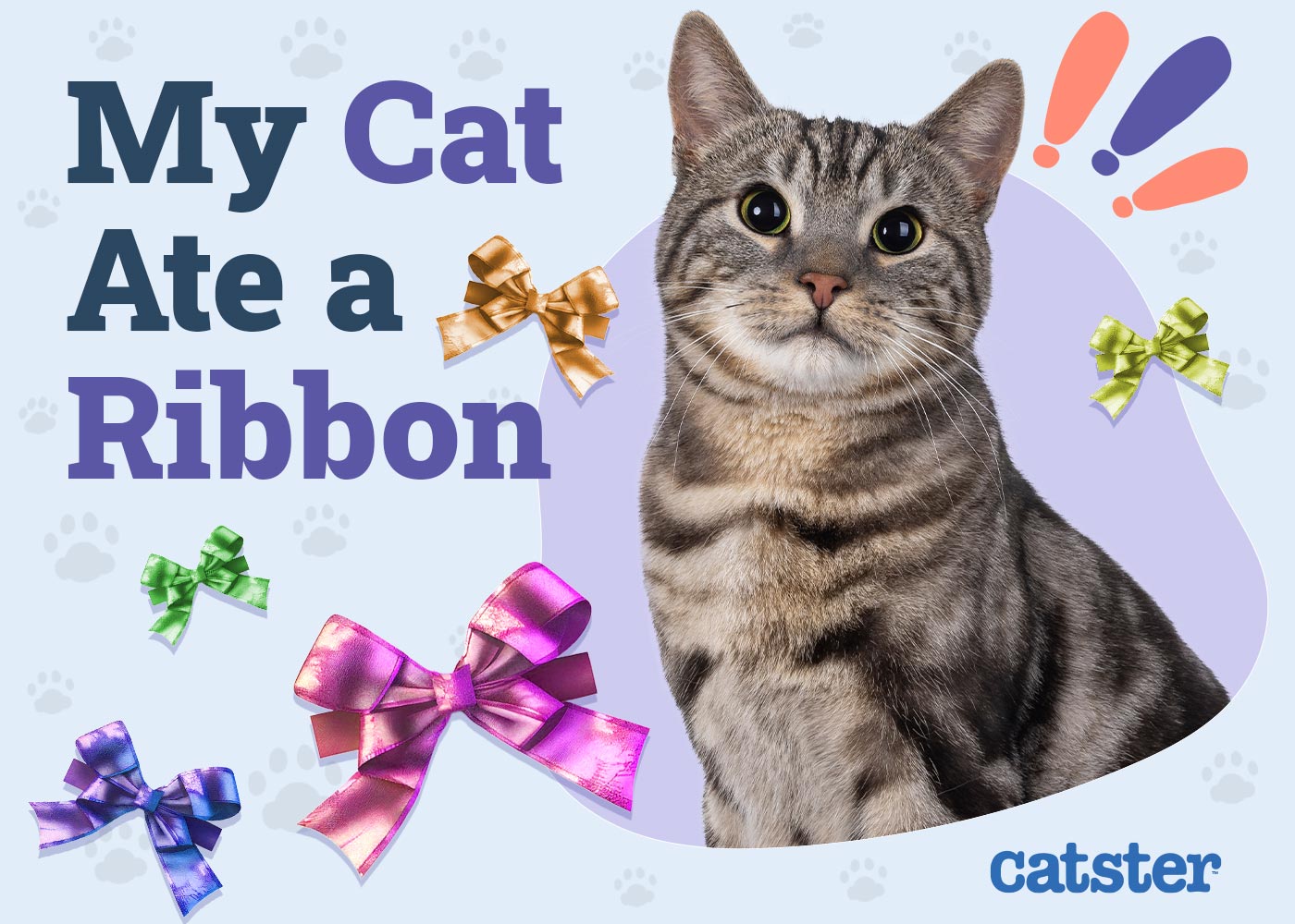 My Cat Ate a Ribbon