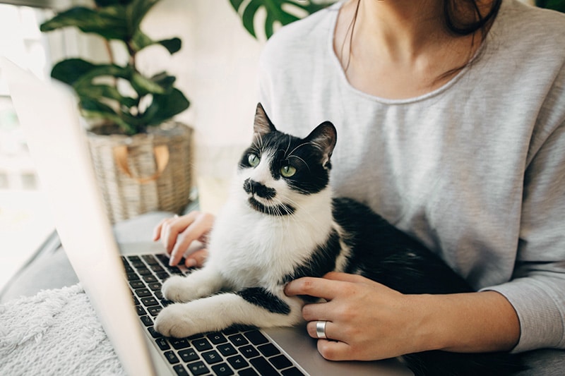 woman working on her laptop with her cat
