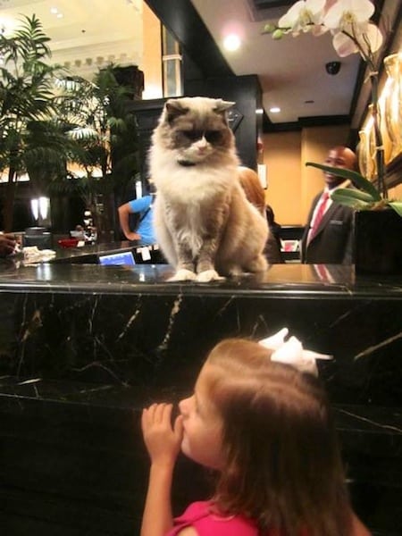 Matilda with Guest