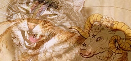 Kitty Horoscope: April Belongs to the Fiery Aries Feline - Catster