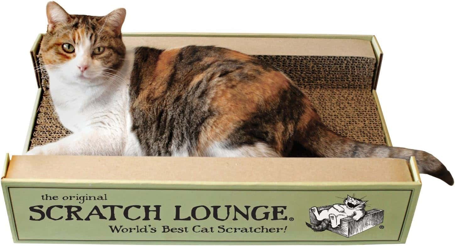 Scratch Lounge Cardboard Cat Scratcher & Lounger for Large Cats