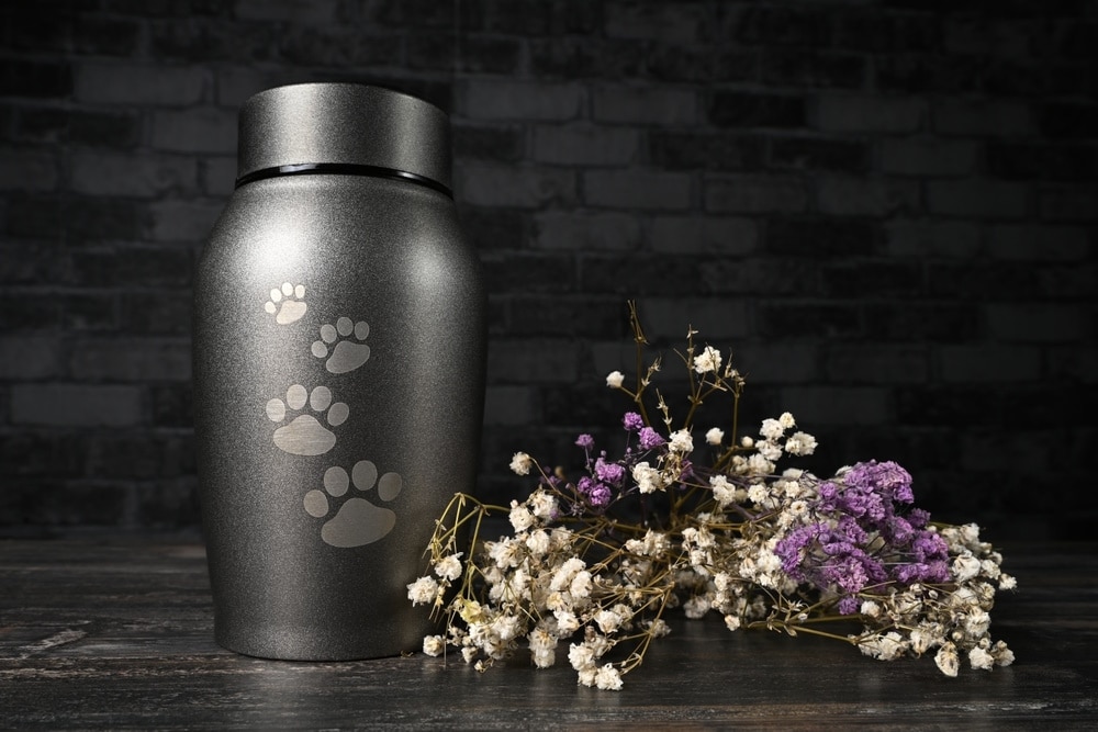 pet urn beside flower