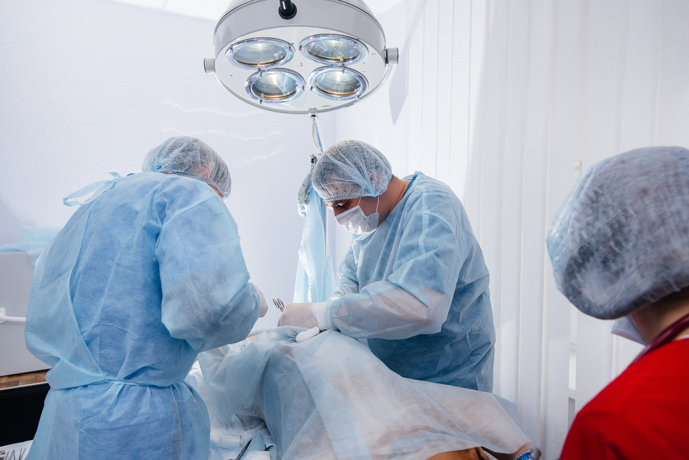 Veterinarians performing a surgery