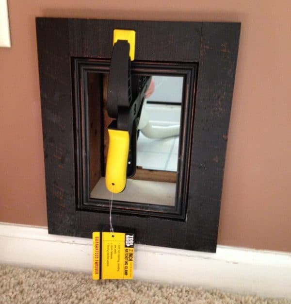 cat door for wall