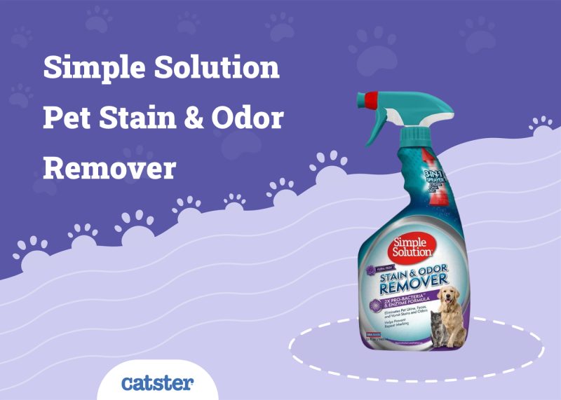 Simple Solution Pet Stain & Odor Remover Review
