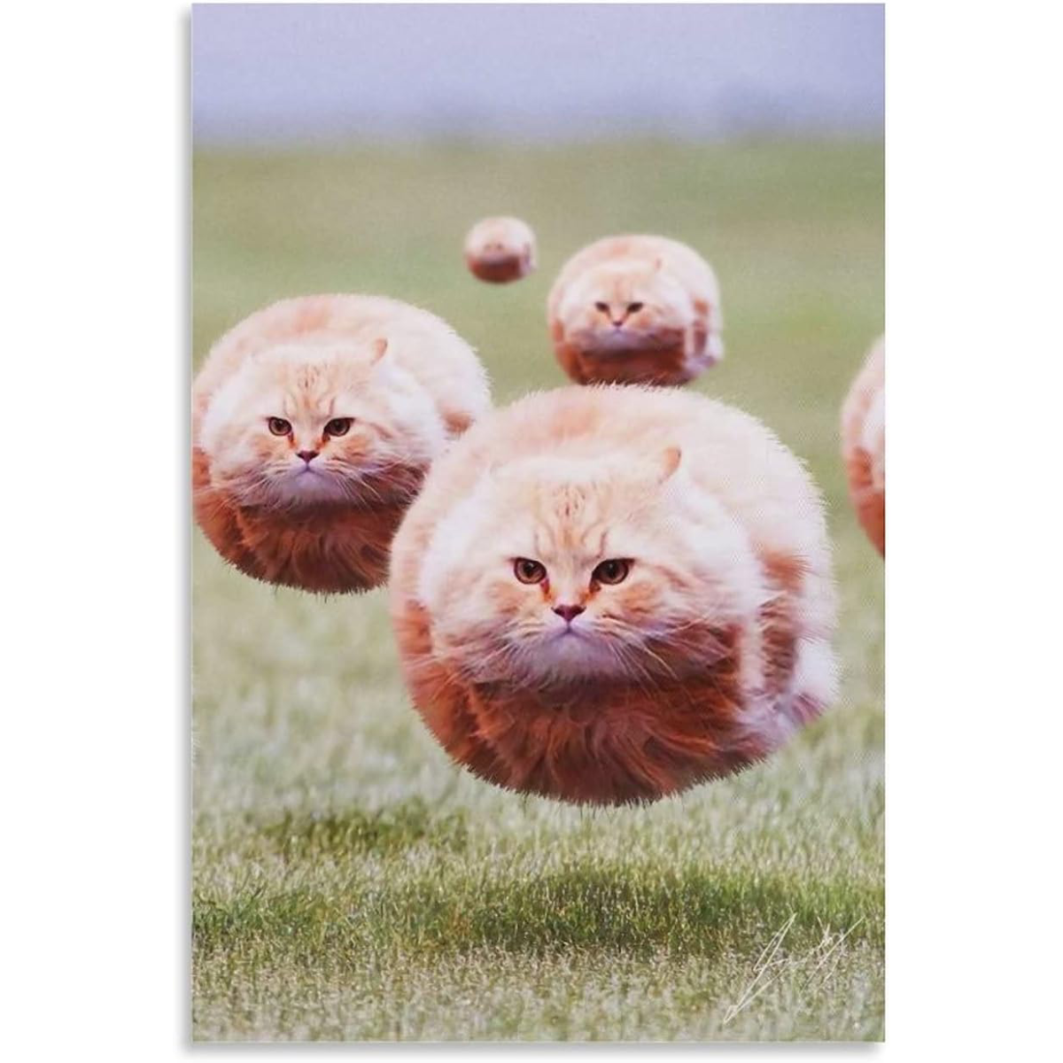 Cat Poster Bouncing