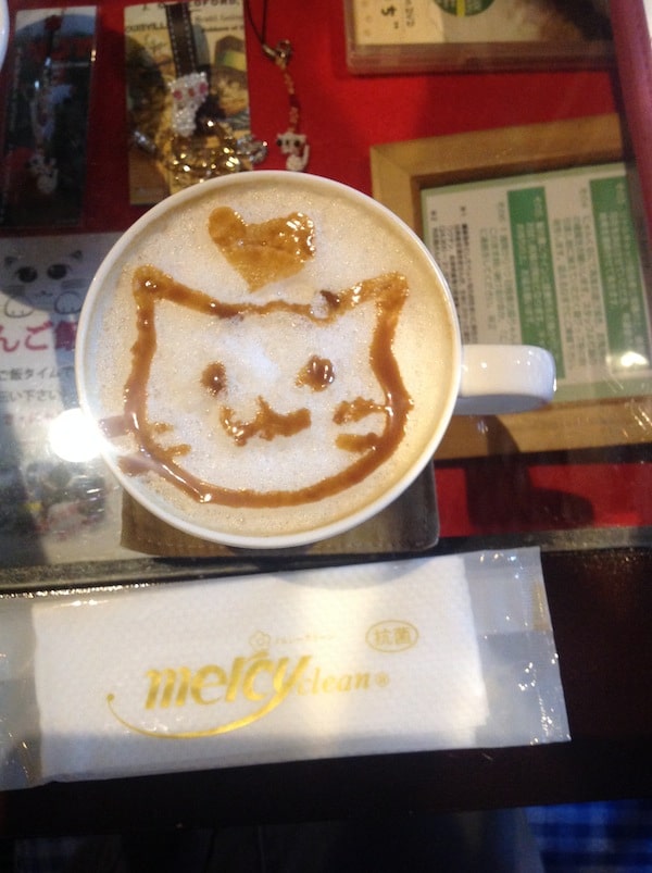 Leon Cat drink