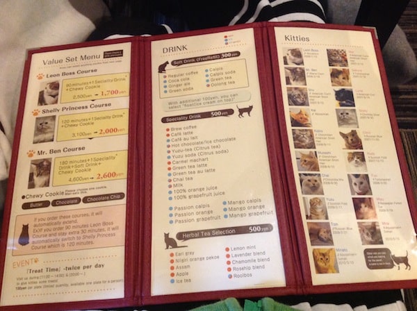 The cafe menu.