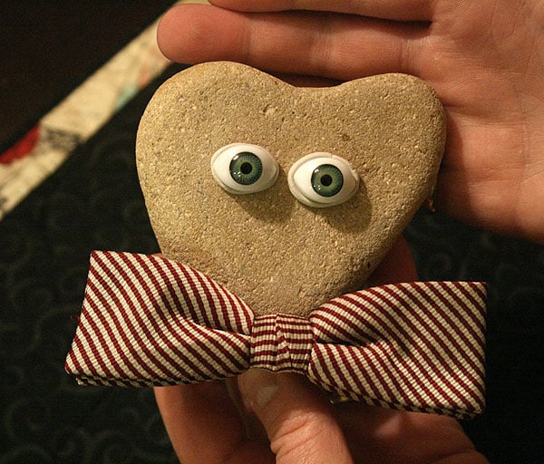 Watch and Learn I Give My Pet Rock a Fashion Makeover Catster