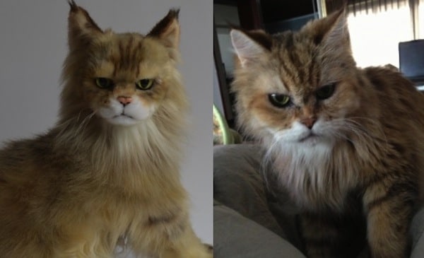 stuffed animals that look like your cat