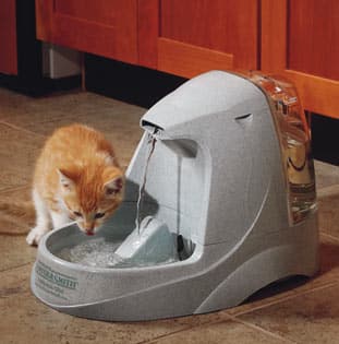 Best Cat Litter