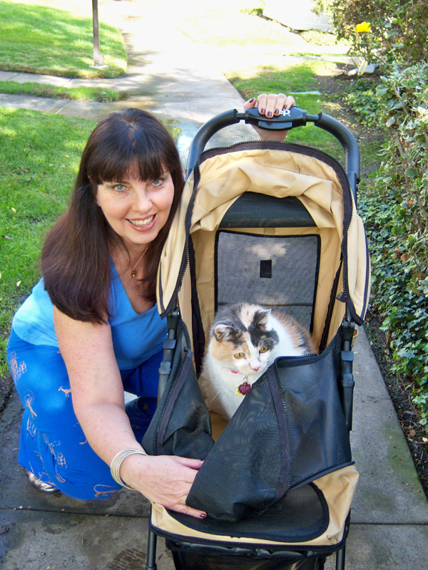 pet strollers for cats