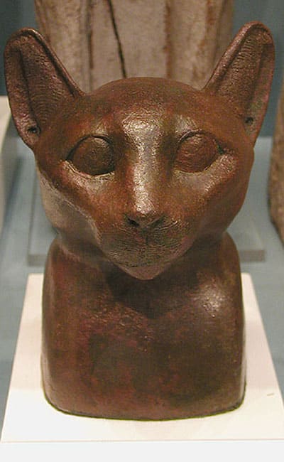 A Look at Cat Mummies on Display Around the World