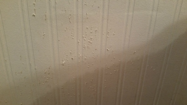 A sample of Specter's handiwork. This wallpaper needed to come down.