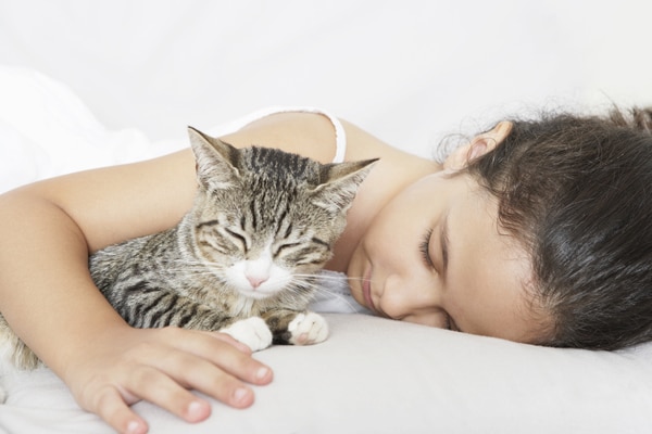 A cat with his human in bed. 