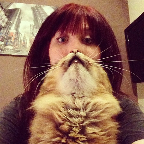 catster s memorial day challenge grow a cat beard catster