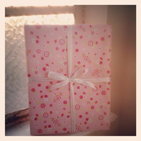 DIY Video How to Gift Wrap a Cat for the Holidays Catster