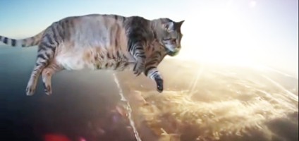 20140118-cat-music-videos-hero.jpg