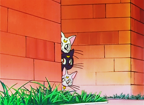 15 Best Anime Cats in 2023 Ranked  Beebom