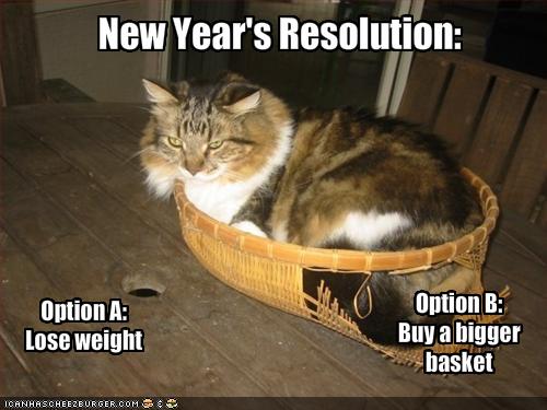 Happy New Year! - Catster