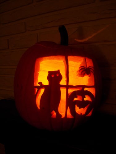 13 Cat Pumpkin Carving Ideas For Halloween Catster