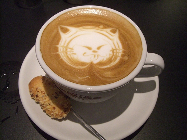 A Cat  Cafe  Is Brewing in Seattle Catster