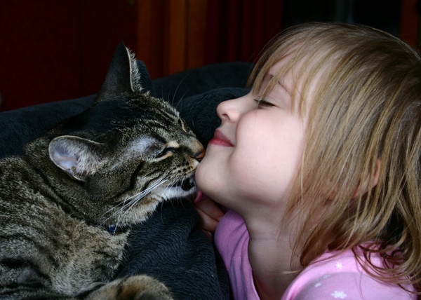 my cat lick my kitten bum