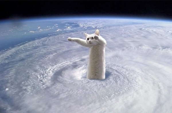 [Imagen: 600px-outer-space-longcat-6ztyxR.jpg]